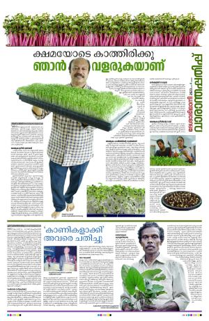 Weekend, 4th June 2023