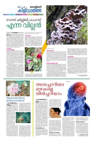 Kilivathil, 11th June 2023