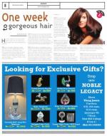 VIII, 09-15 November 2014, 8 Edition