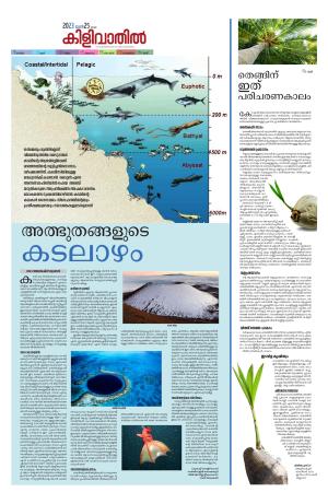 Kilivathil, 25th June 2023