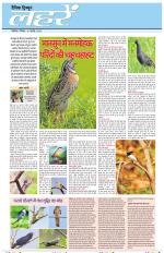 Dainik Tribune (Lehrein)