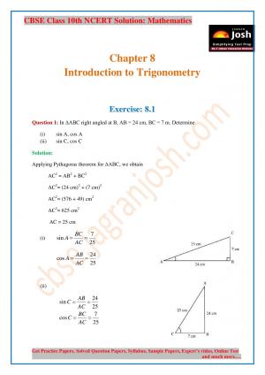 CBSE Class 10 NCERT Solution Mathematics Introduction to Trigonometry