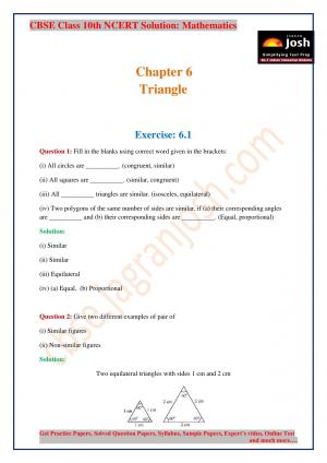 CBSE Class 10 NCERT Solution Mathematics Triangle