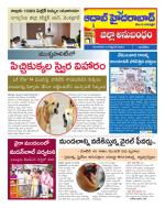 Aadab Hyderabad Tab Pages