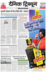 Dainik Tribune (Gurgaon Edition)