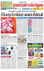 Nagai-Trichy Supplement