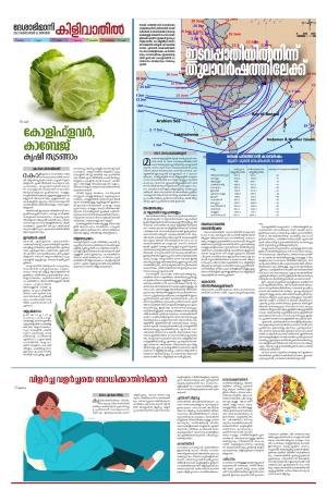 Kilivathil, 22 October 2023