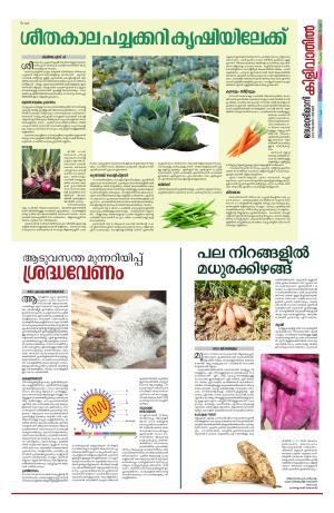 Kilivathil, 5 November 2023