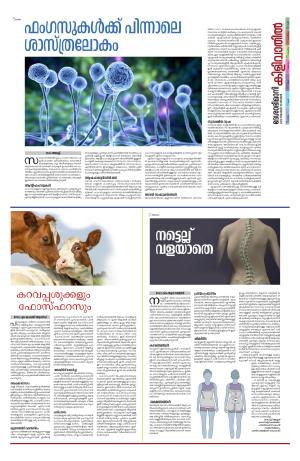 Kilivathil, 19 November 2023