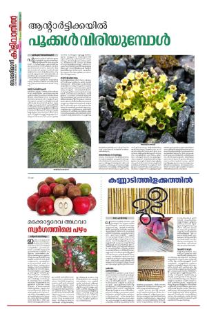 Kilivathil, 26 November 2023