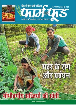 November Second 2023