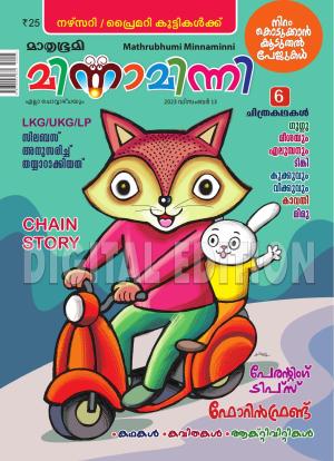 Minnaminni - 2023 December 13