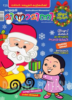 Minnaminni - 2023 December 27