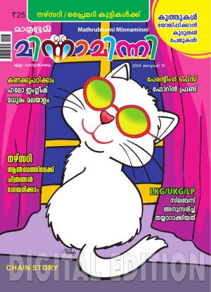 Minnaminni - 2024 January 10