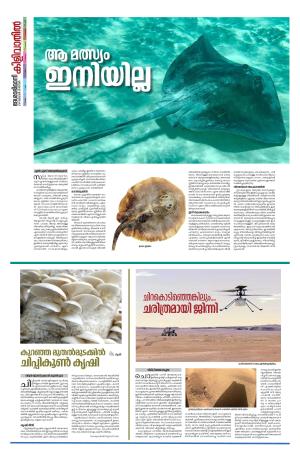 Kilivathil, 28 January 2024