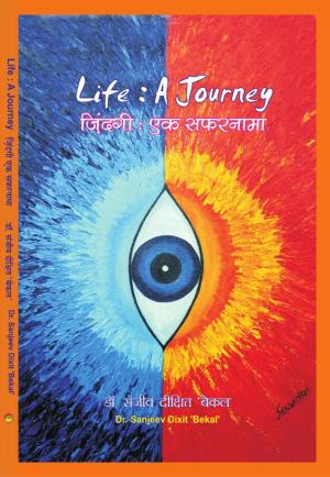 life a journey and zindagi  (जिंदगी: एक सफ़रनामा)
