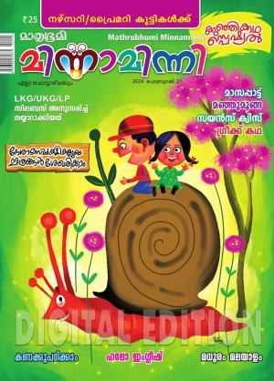 Minnaminni - 2024 February 21