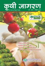 Marathi Magazine-November-2014