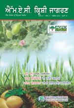 Punjabi Magazine-November-2014