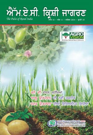 Punjabi Magazine-November-2014