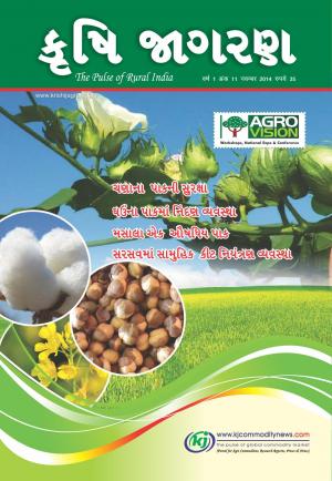 Gujarati Magazine-November-2014
