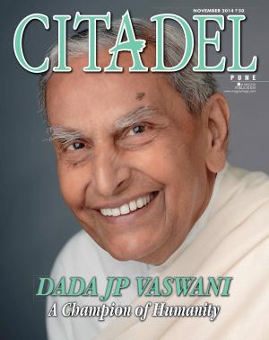 CITADEL NOVEMBER 2014