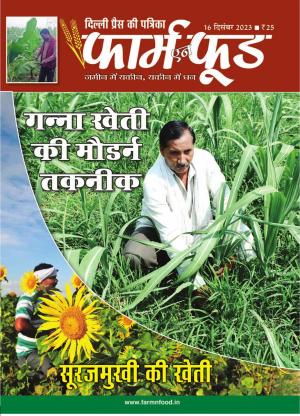 December Second 2023