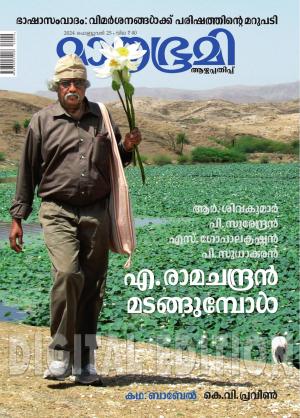 Weekly - 2024 February 25