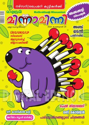 Minnaminni - 2024 February 28