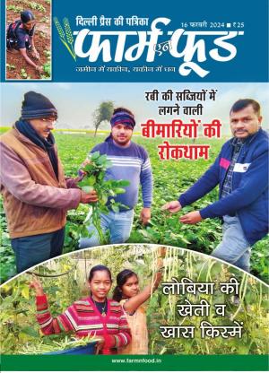 February Second 2024