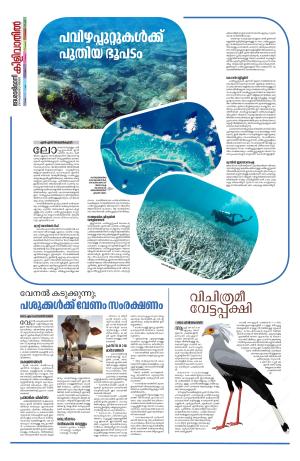 Kilivathil, 25 February 2024