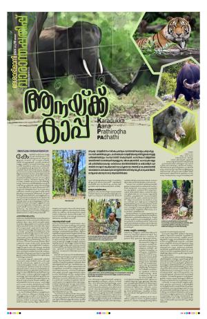 Weekend, 10 Mar 2024