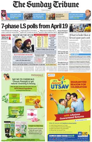 The Tribune