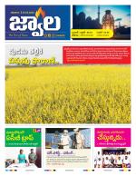 jwaala Daily