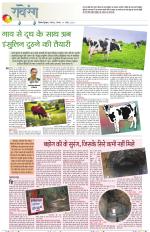 Dainik Tribune (Lehrein)