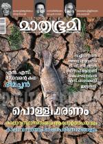 Mathrubhumi Weekly