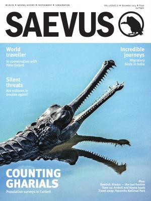 SAEVUS DECEMBER 2014