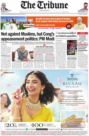 The Tribune