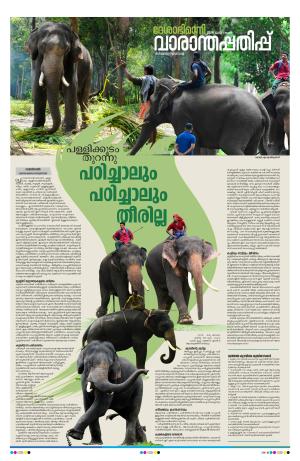 Weekend, 9 June 2024