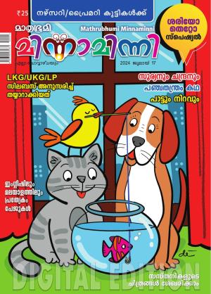 Minnaminni - 2024 July 17