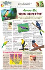 Dainik Tribune (Lehrein)