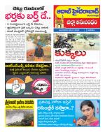 Aadab Hyderabad Tab Pages