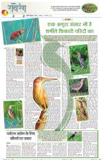 Dainik Tribune (Lehrein)