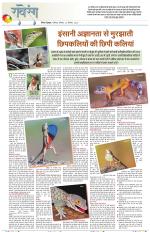 Dainik Tribune (Lehrein)