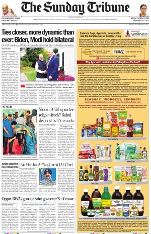 The Tribune
