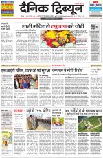 Dainik Tribune (Rohtak Edition)