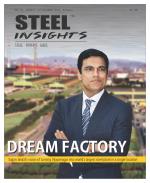 Steel Insights
