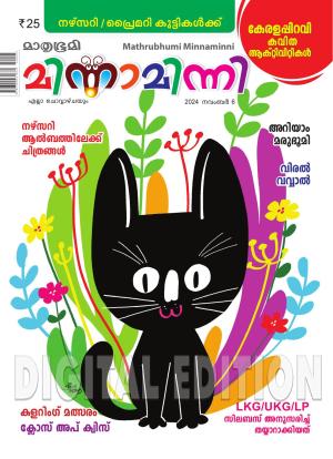 Minnaminni - 2024 November 6