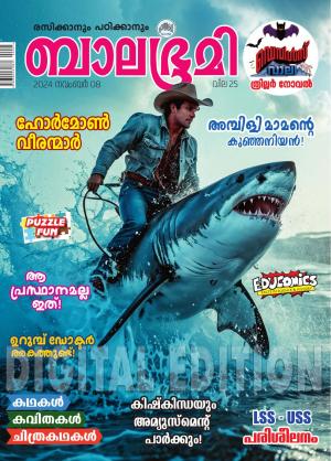 Balabhumi - 2024 November 8