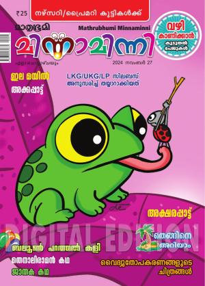 Minnaminni - 2024 November 27